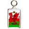 Keep Calm I'm Welsh - Double Sided - Large Keyring