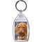 Really! - Keyring